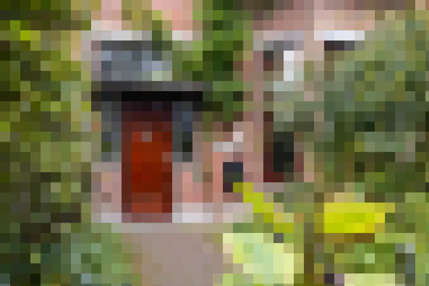 Spanjaardslaan 120 Leeuwarden thumbnail 5