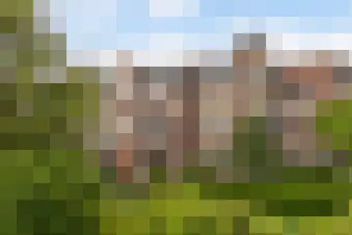 Spanjaardslaan 137 Leeuwarden thumbnail 47