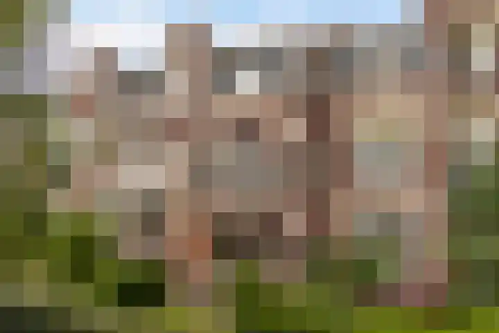 Spanjaardslaan 137 Leeuwarden thumbnail 48