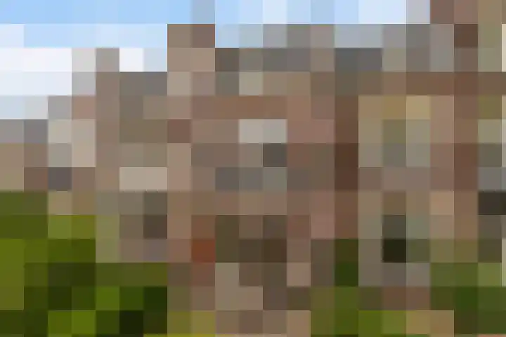 Spanjaardslaan 137 Leeuwarden thumbnail 49