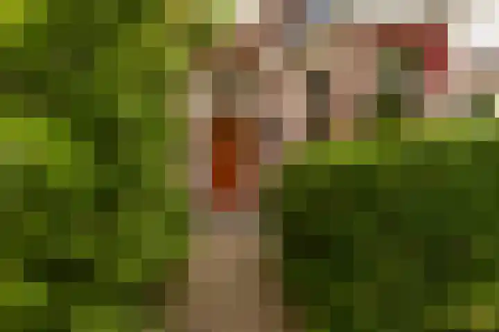 Spanjaardslaan 137 Leeuwarden thumbnail 5