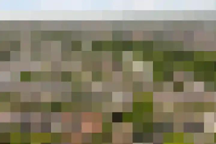 Spanjaardslaan 137 Leeuwarden thumbnail 50