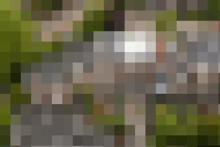 Spanjaardslaan 137 Leeuwarden thumbnail 51