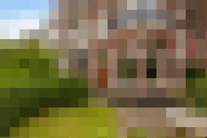 Spanjaardslaan 137 Leeuwarden thumbnail 6