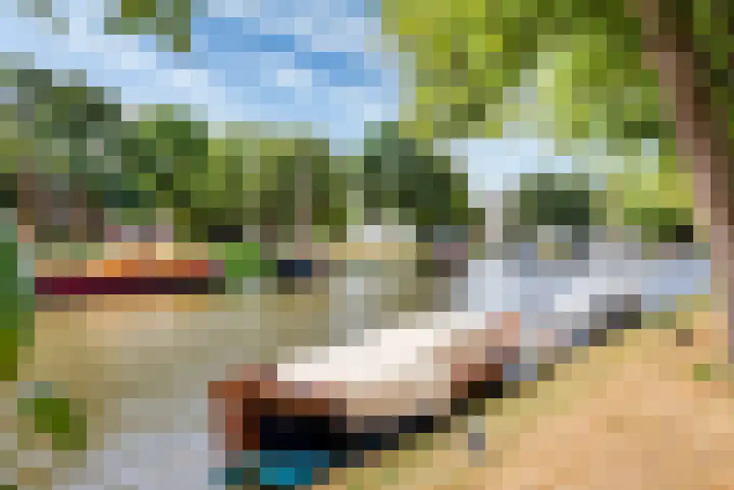 Spanjaardslaan 20 Leeuwarden thumbnail 53