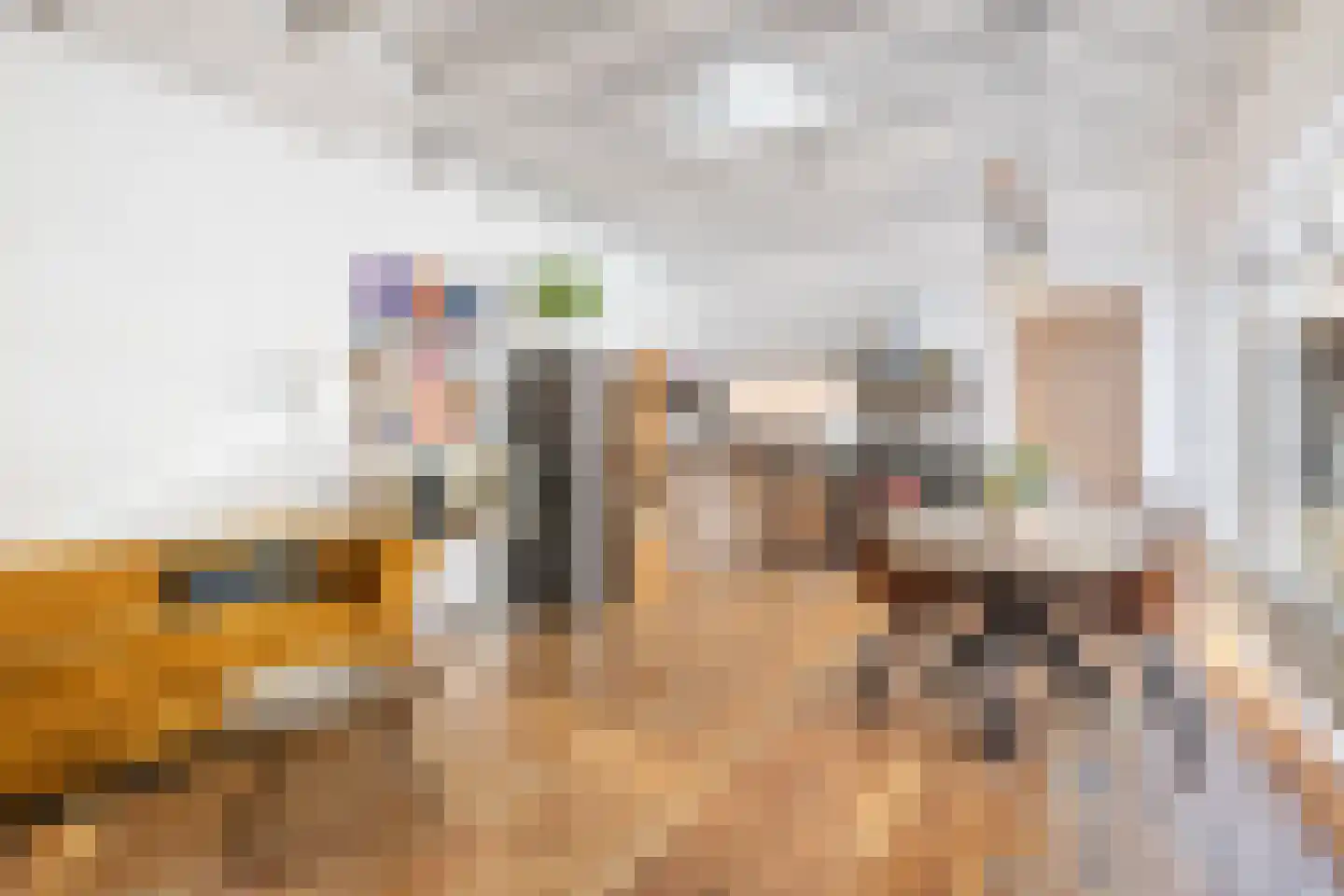 Spanjaardslaan 3 a Leeuwarden thumbnail 32