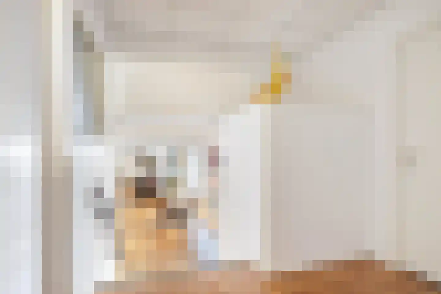 Spanjaardslaan 3 a Leeuwarden thumbnail 34