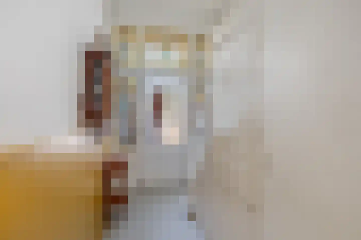 Spanjaardslaan 3 a Leeuwarden thumbnail 6