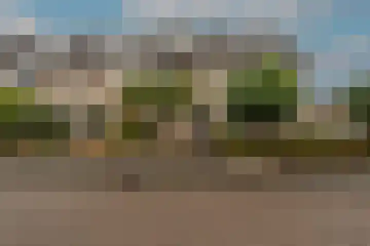 Spanjaardslaan 4 Zuidland