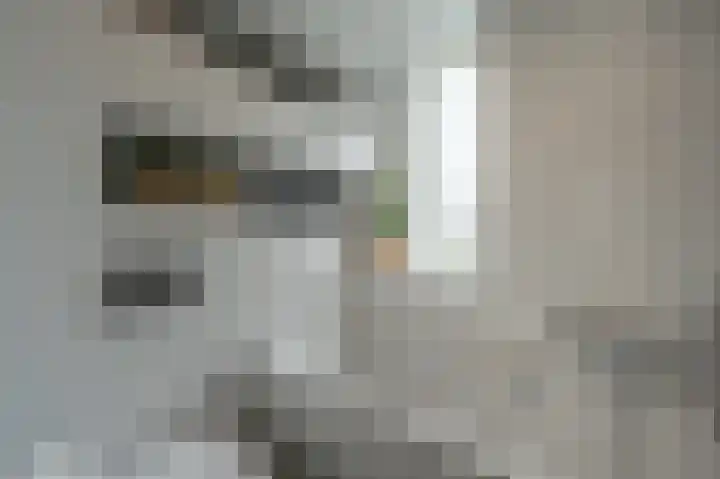 Spanjaardslaan 4 Zuidland thumbnail 22