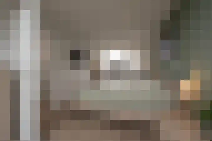 Spanjaardslaan 4 Zuidland thumbnail 31