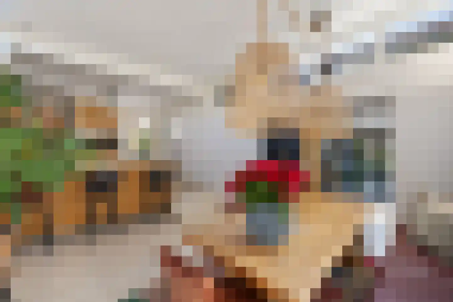 Spanjaardslaan 47 Leeuwarden thumbnail 19