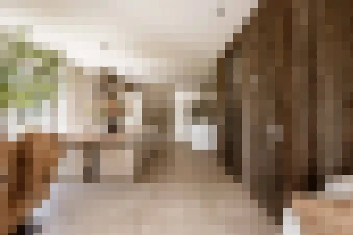 Spanjaardslaan 7 Heiloo thumbnail 11