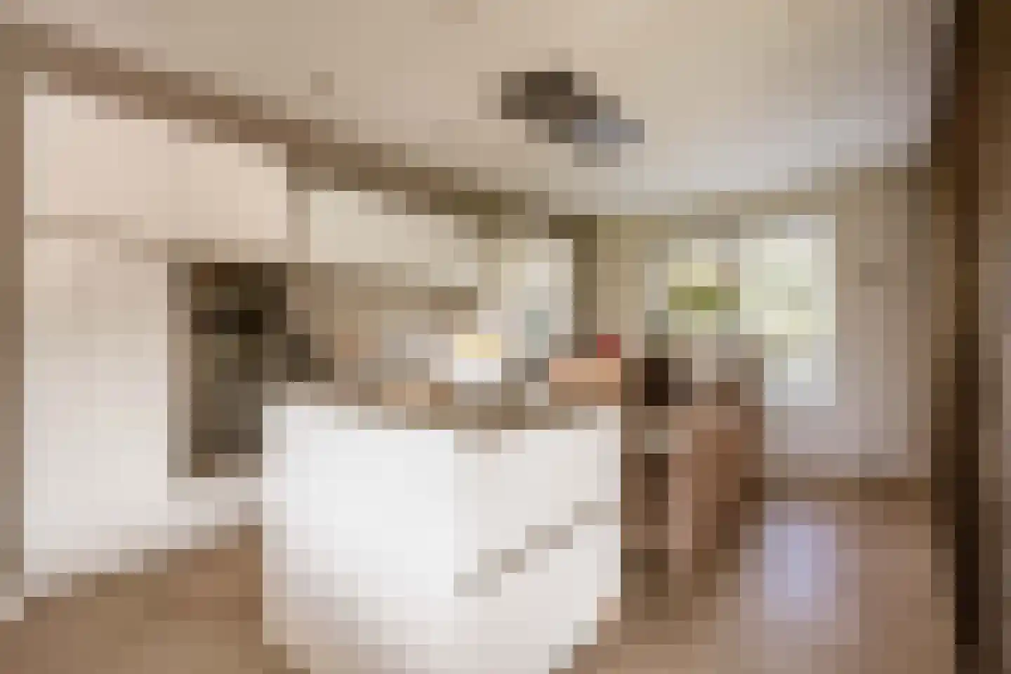 Spanjaardslaan 7 Heiloo thumbnail 14
