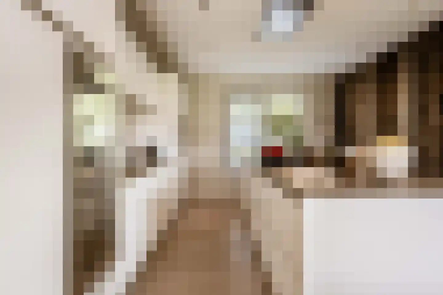 Spanjaardslaan 7 Heiloo thumbnail 15