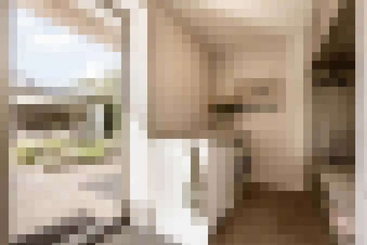 Spanjaardslaan 7 Heiloo thumbnail 19