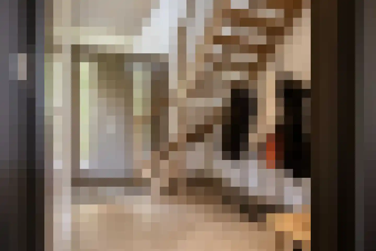 Spanjaardslaan 7 Heiloo thumbnail 20