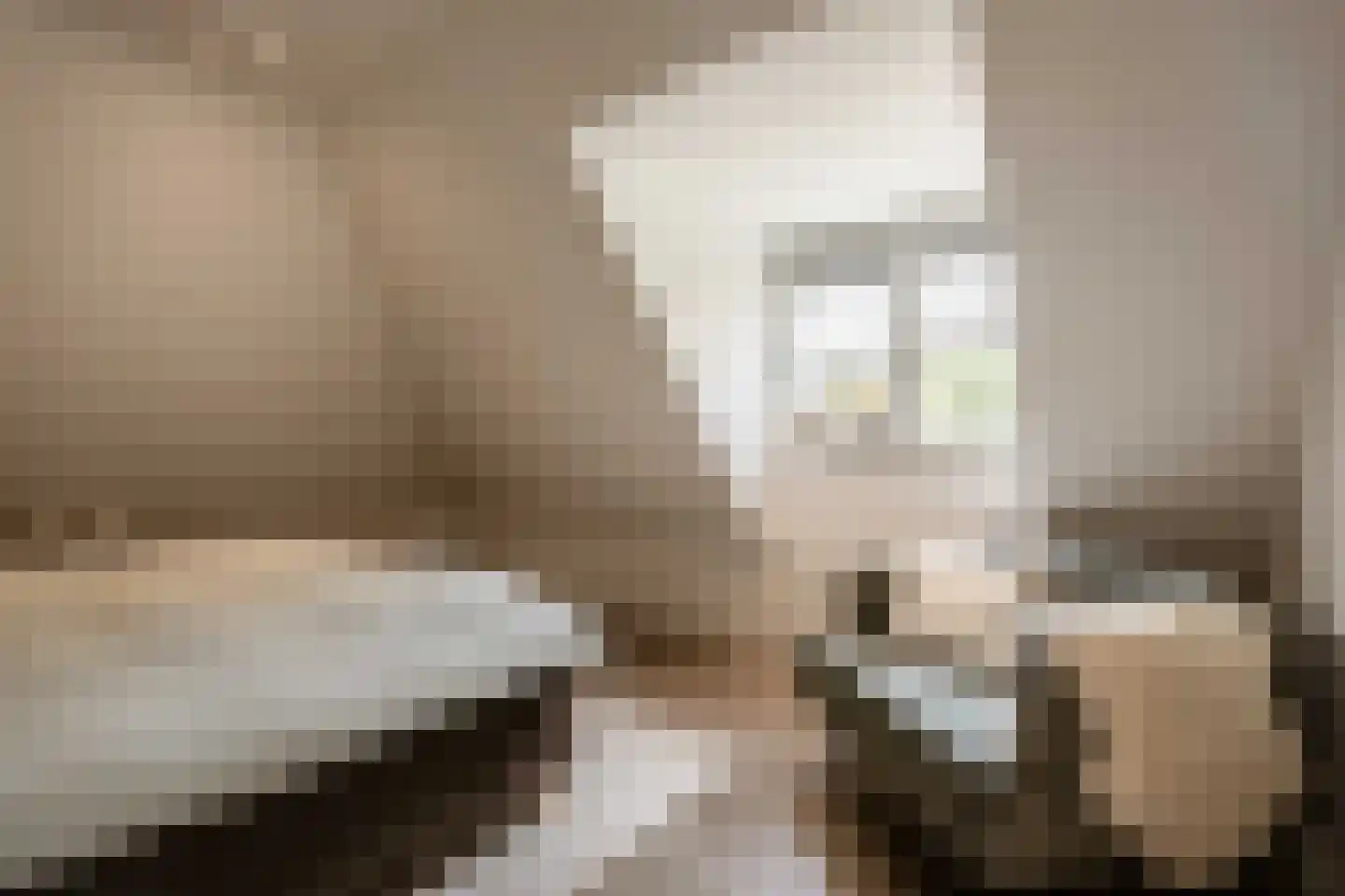 Spanjaardslaan 7 Heiloo thumbnail 23