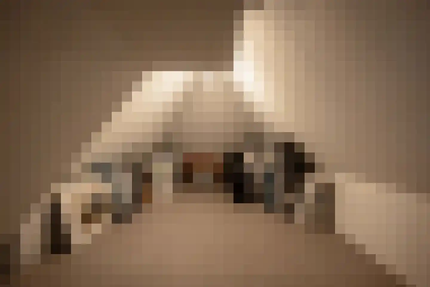 Spanjaardslaan 7 Heiloo thumbnail 37