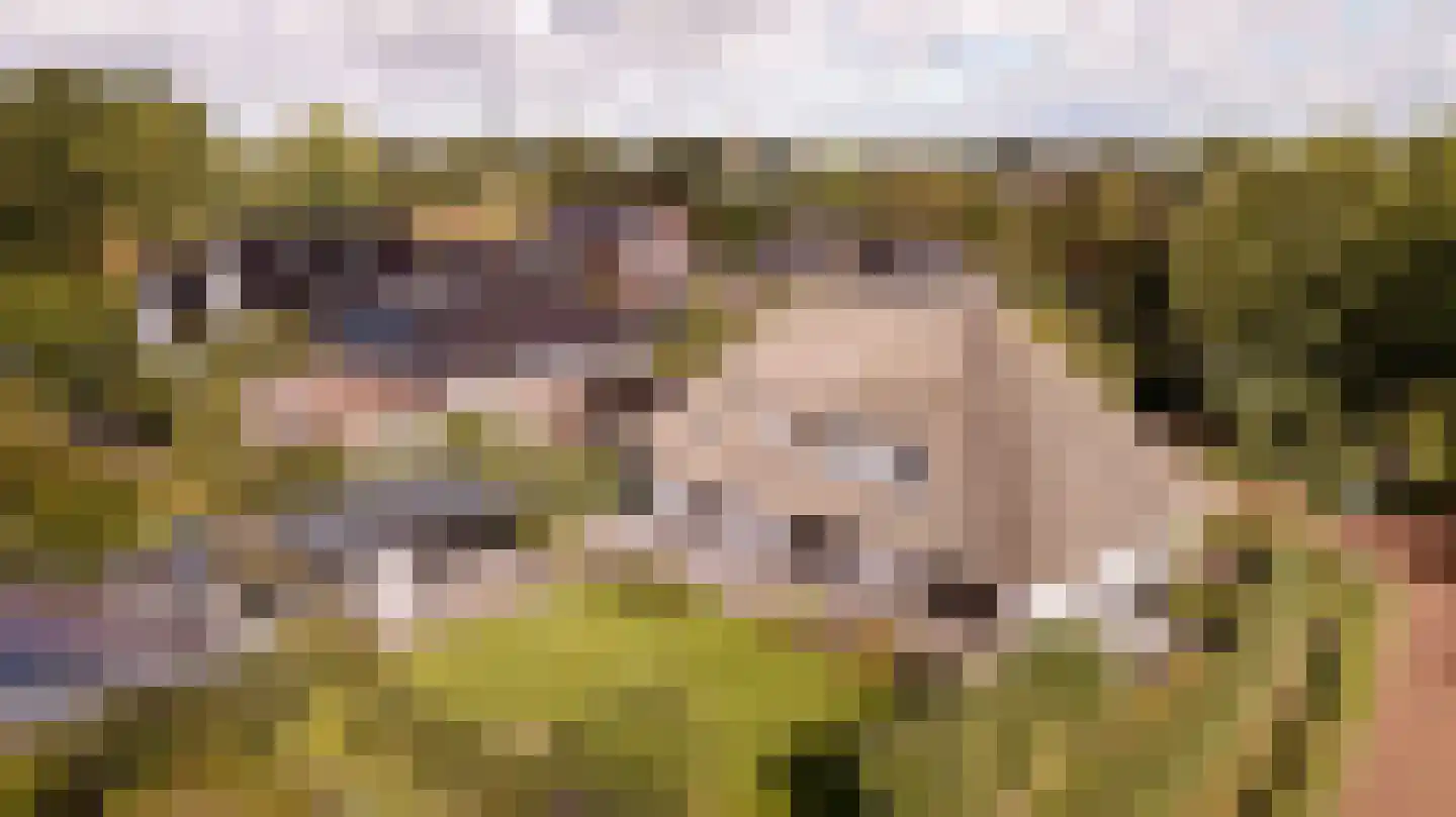 Spanjaardslaan 7 Heiloo thumbnail 38
