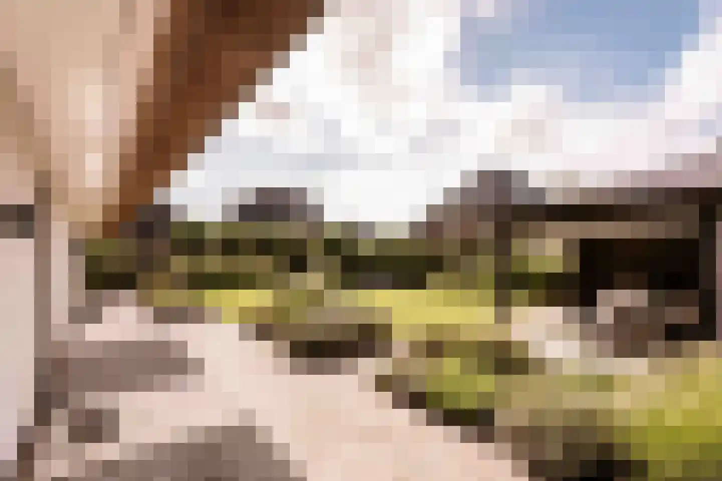 Spanjaardslaan 7 Heiloo thumbnail 42