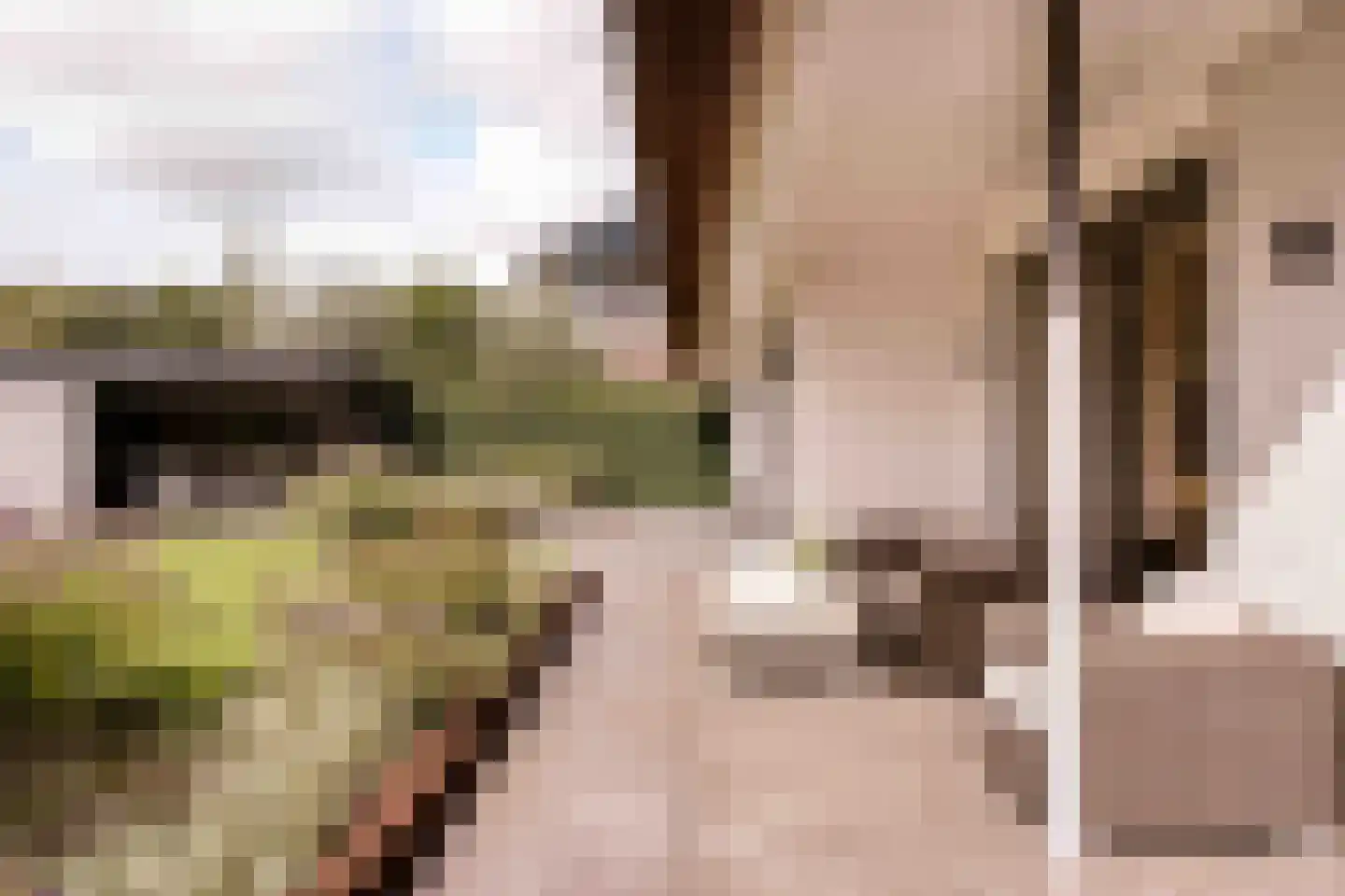 Spanjaardslaan 7 Heiloo thumbnail 43