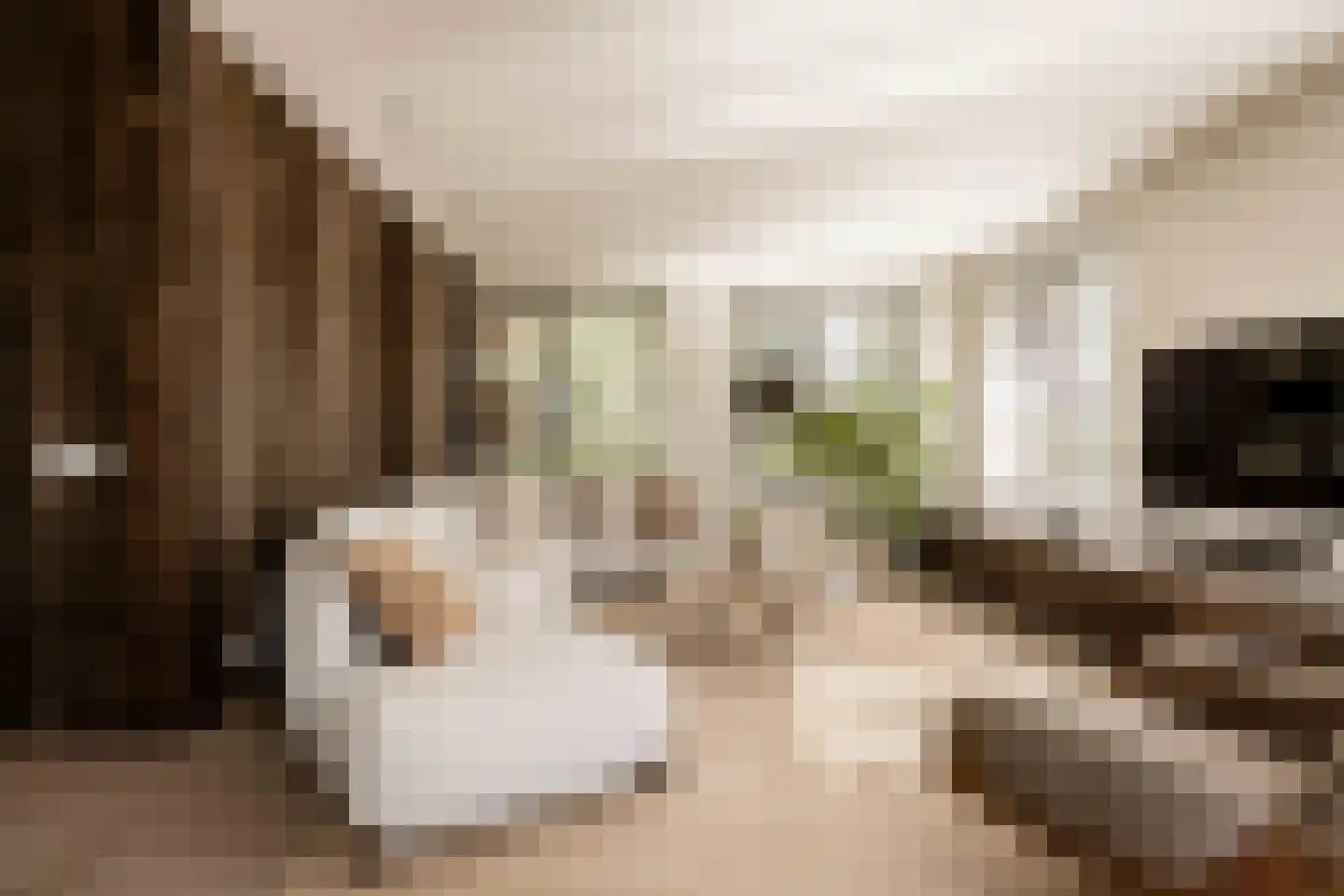Spanjaardslaan 7 Heiloo thumbnail 5