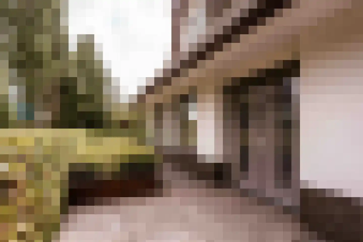 Spanjaardslaan 7 Heiloo thumbnail 50