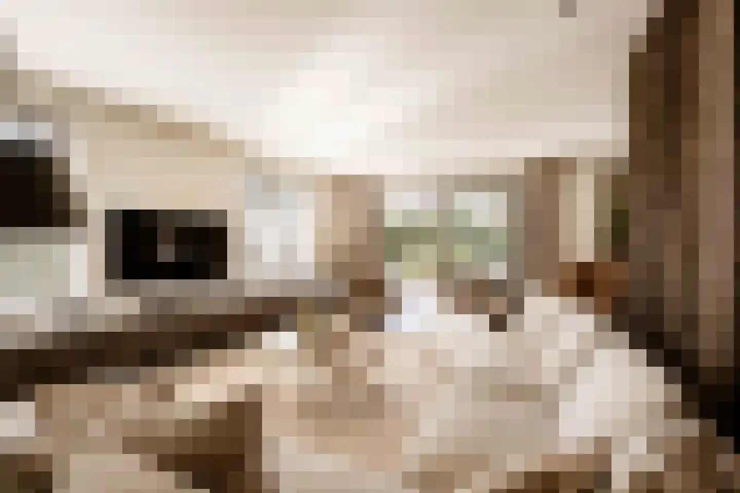 Spanjaardslaan 7 Heiloo thumbnail 6