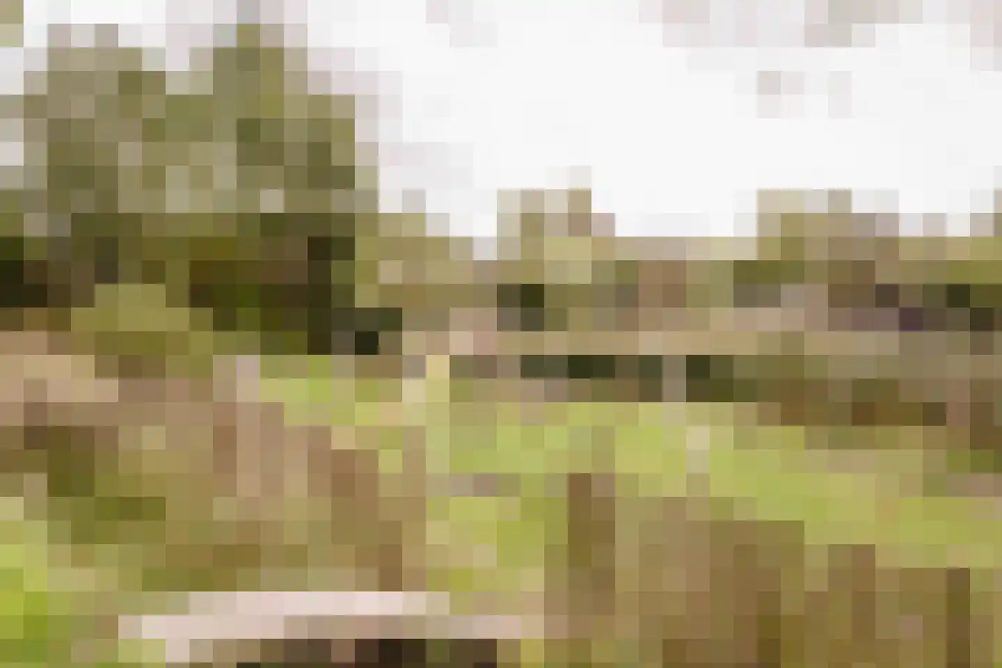 Spanjaardslaan 7 Heiloo thumbnail 61