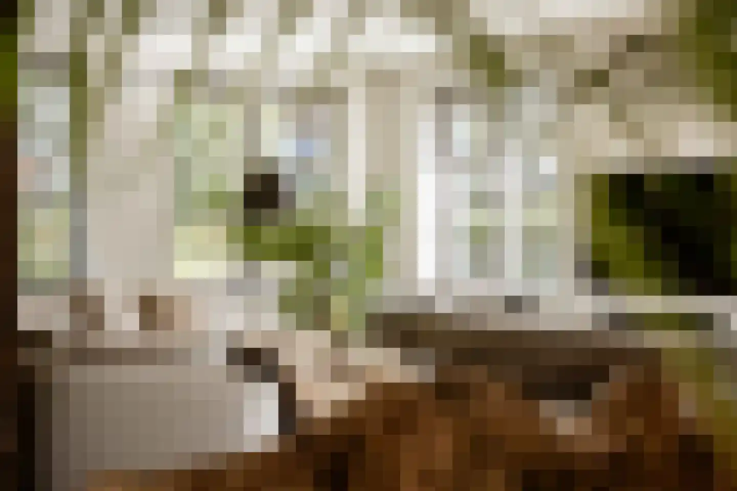 Spanjaardslaan 7 Heiloo thumbnail 7