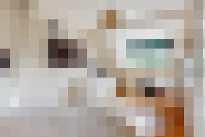 Spanjaardslaan 8 Leiderdorp thumbnail 30