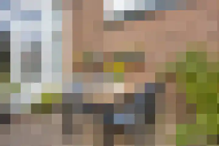 Spanjaardslaan 85 Leeuwarden thumbnail 10