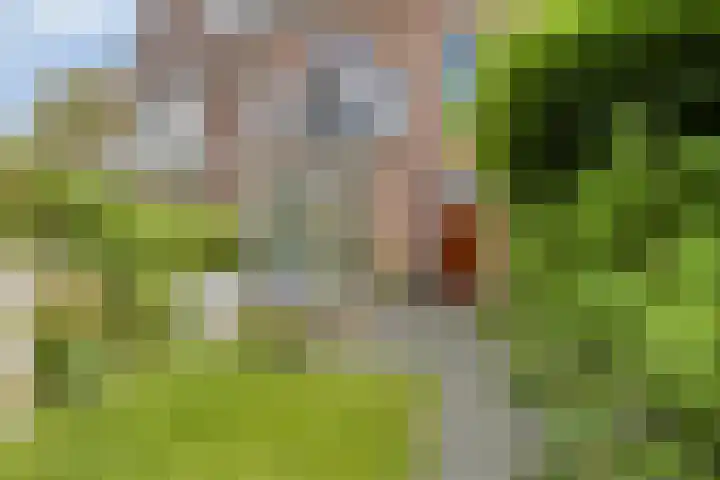 Spanjaardslaan 85 Leeuwarden thumbnail 5