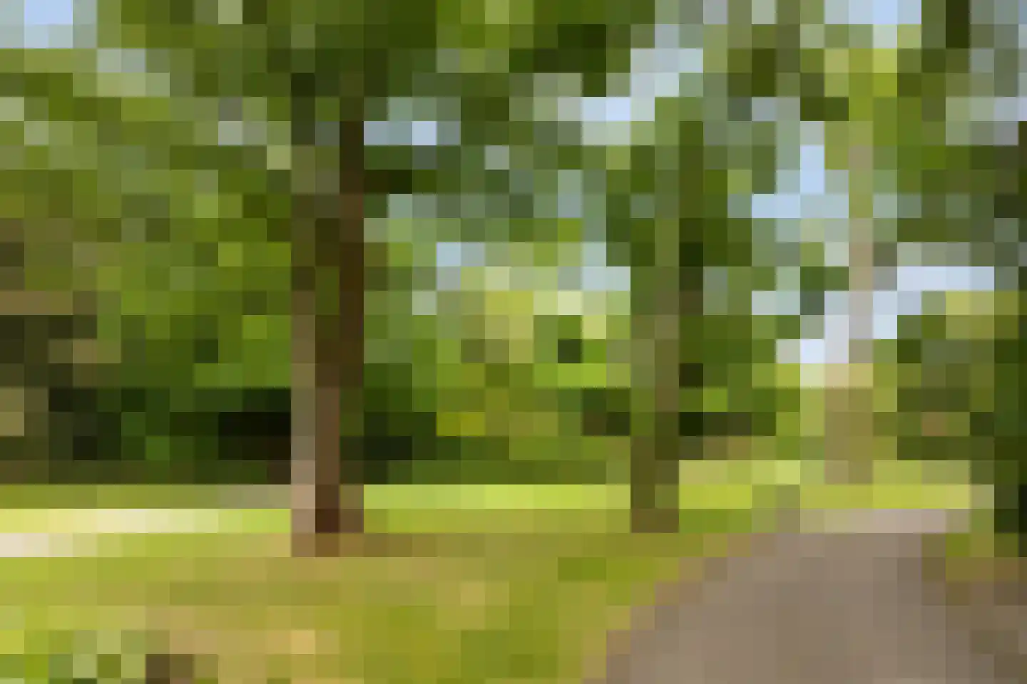 Spanjaardslaan 89 Leeuwarden thumbnail 12