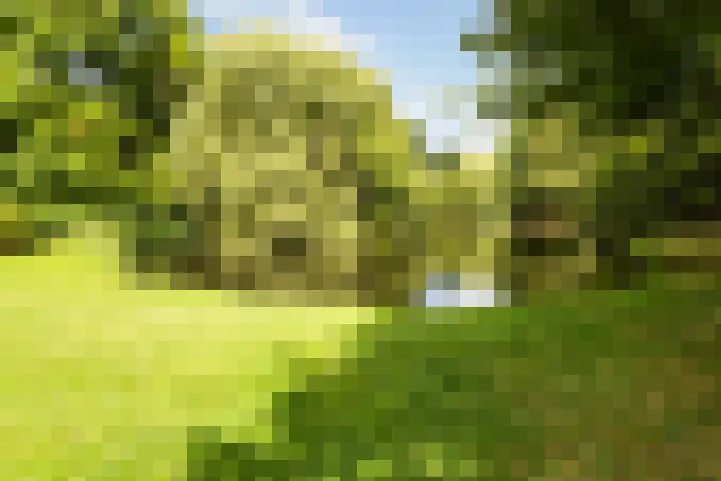 Spanjaardslaan 89 Leeuwarden thumbnail 14
