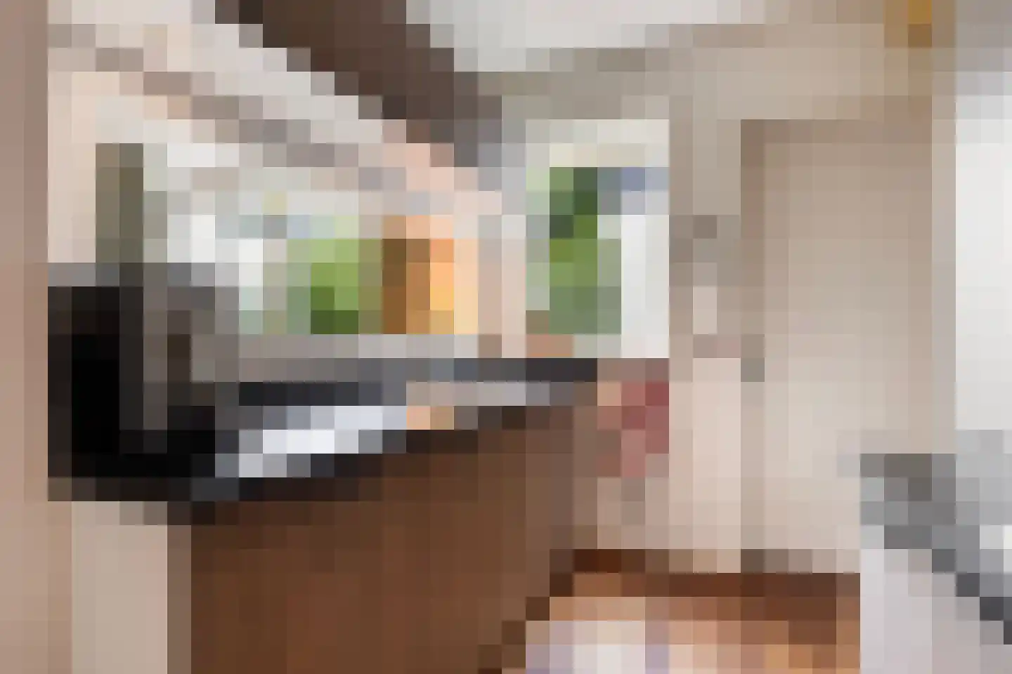 Spanjaardslaan 89 Leeuwarden thumbnail 31
