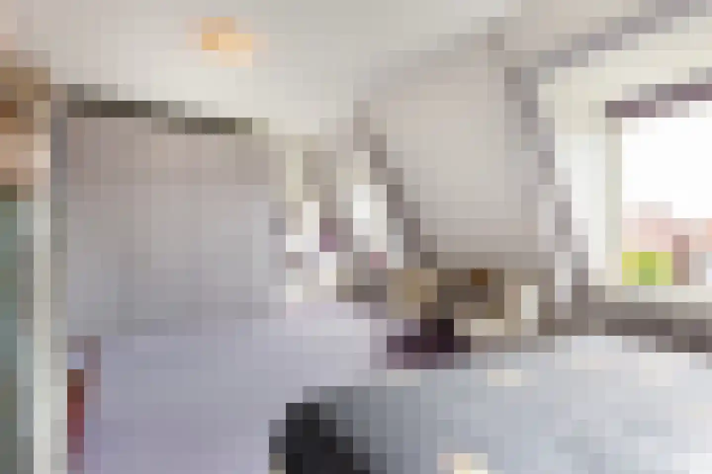Spanjaardslaan 89 Leeuwarden thumbnail 51