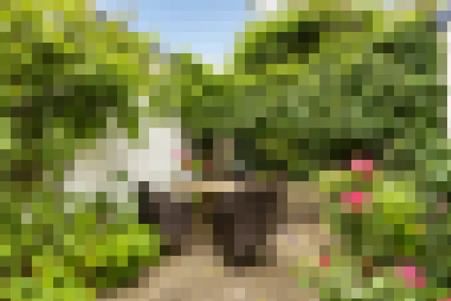 Spanjaardslaan 89 Leeuwarden thumbnail 7