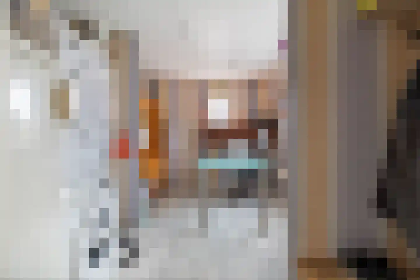 Spanjaardspad 35 Schoonebeek thumbnail 33