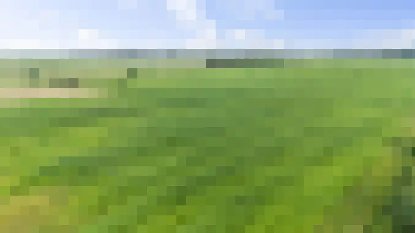 Spanjaardspad 35 Schoonebeek thumbnail 46