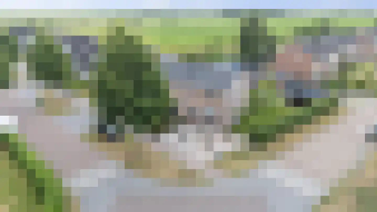 Spanjaardspad 35 Schoonebeek thumbnail 6