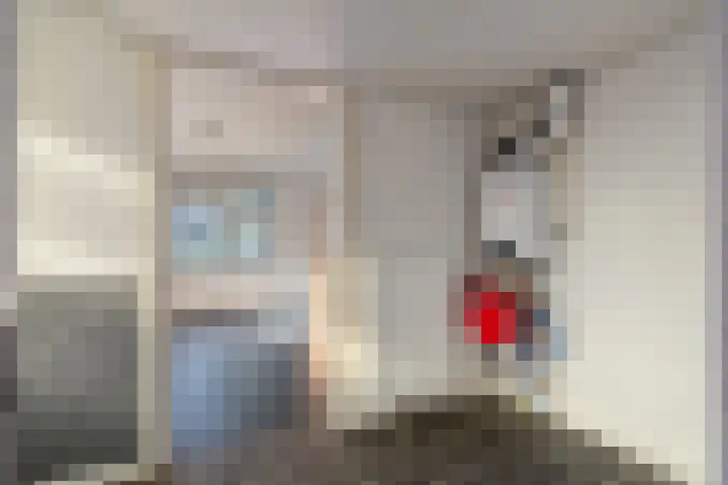 Spanjaardspad 97 Schoonebeek thumbnail 25