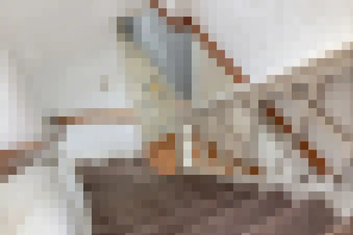 Spanjaardspad 97 Schoonebeek thumbnail 31
