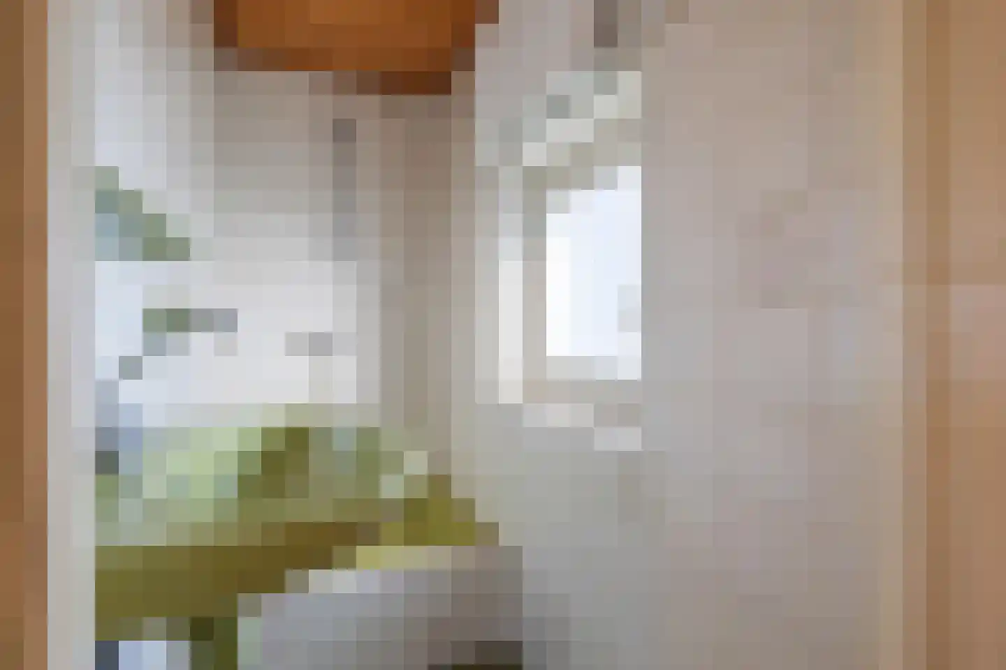 Spanjaardspad 97 Schoonebeek thumbnail 36