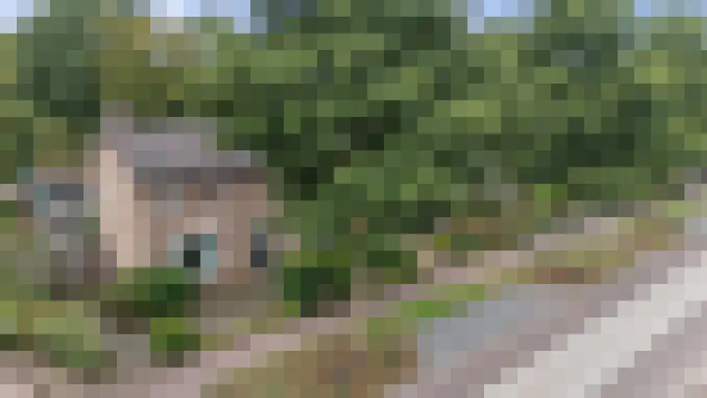 Spanjaardspad 97 Schoonebeek thumbnail 39