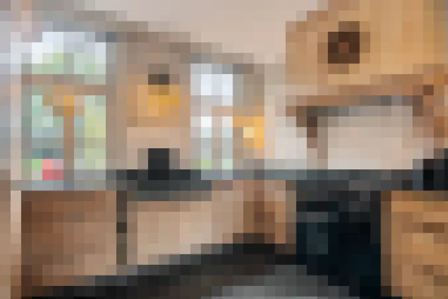 Spanjaardsplein 13 Borne thumbnail 12