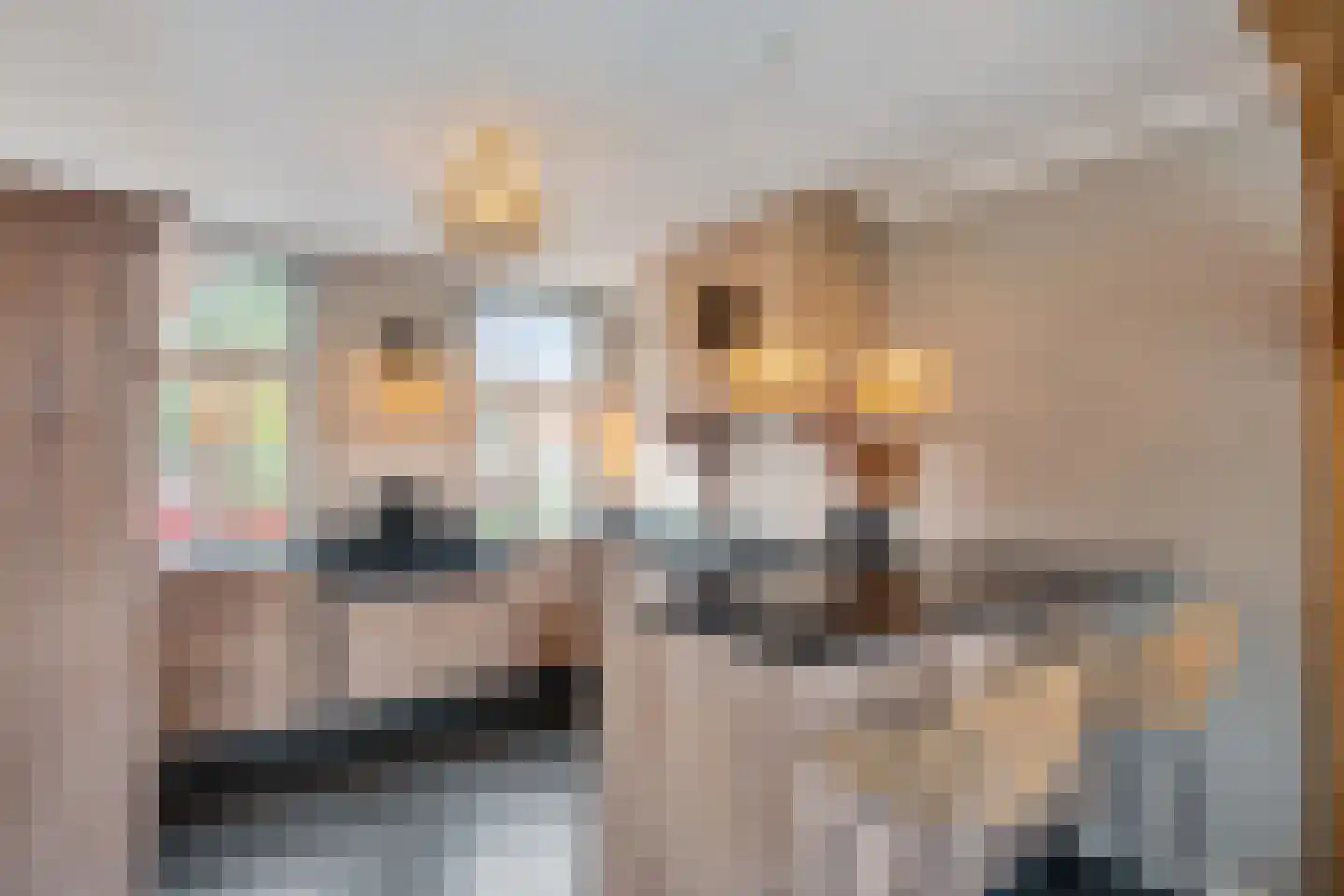 Spanjaardsplein 13 Borne thumbnail 19