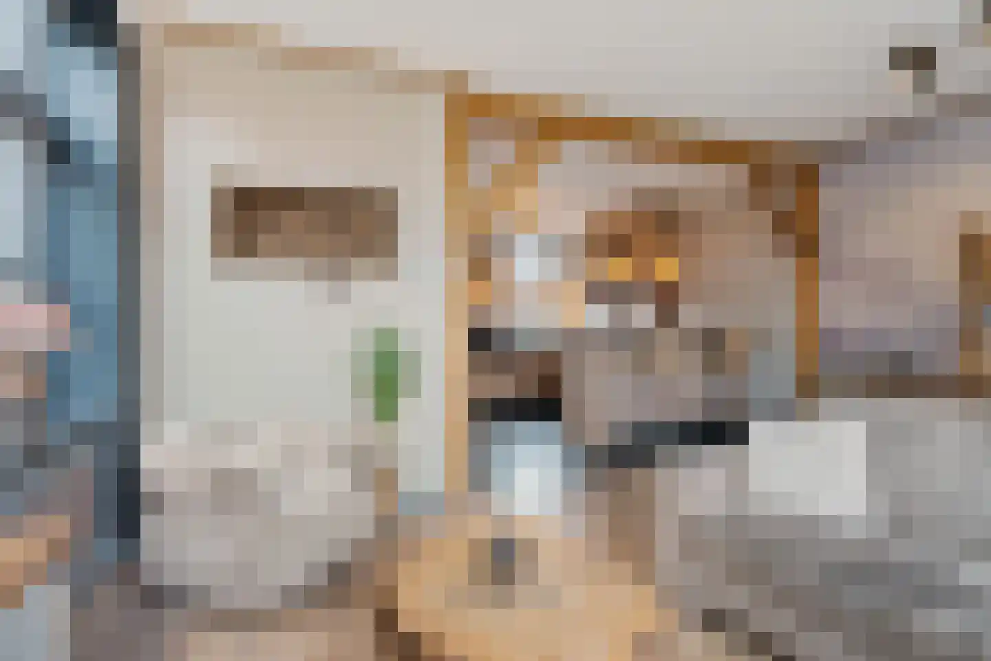 Spanjaardsplein 13 Borne thumbnail 25