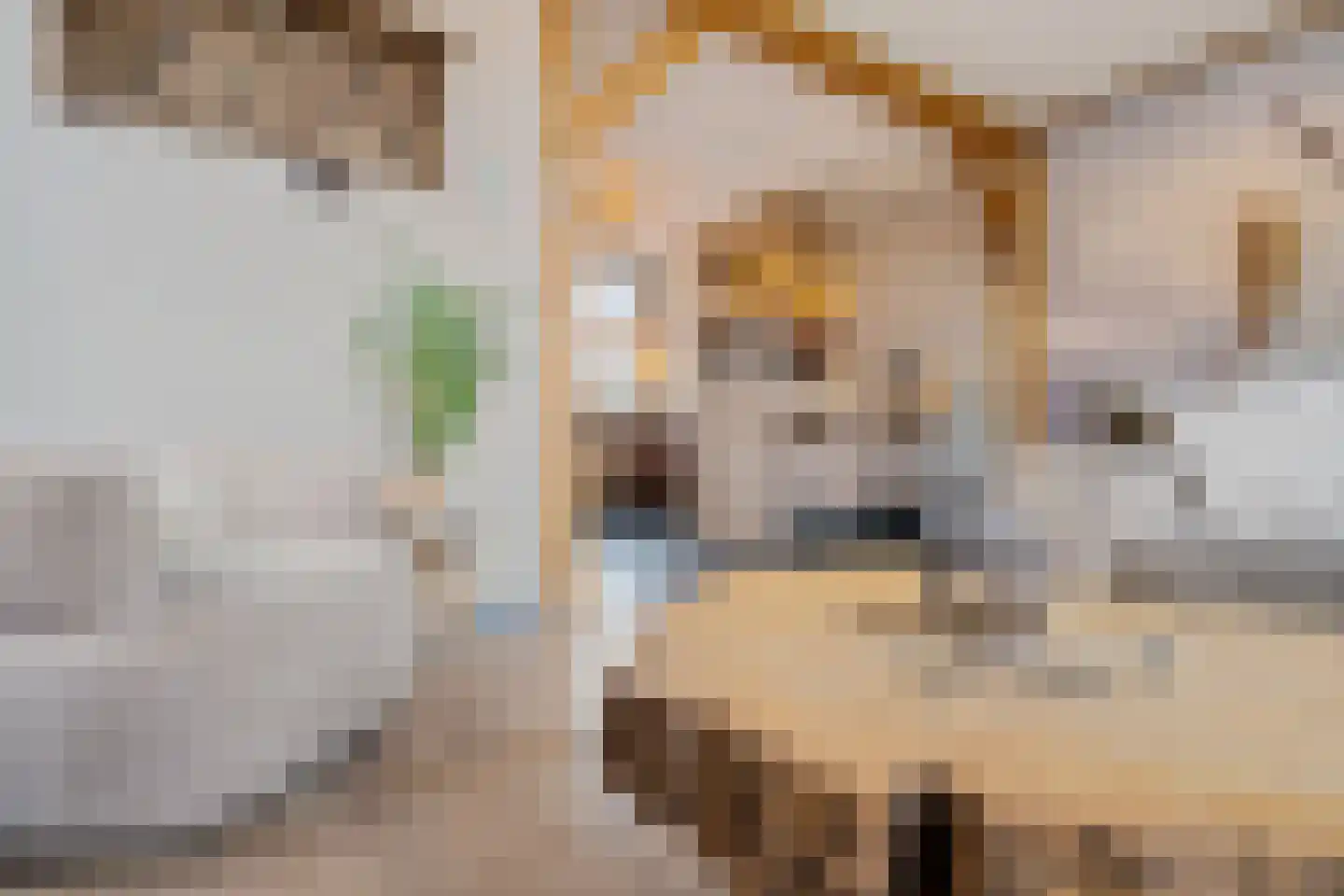 Spanjaardsplein 13 Borne thumbnail 27